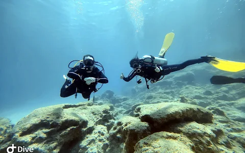 Poseidon Dive Centre, Protaras, Cyprus image
