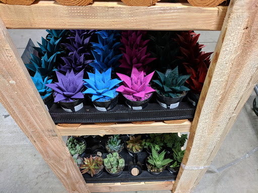 Home Improvement Store «The Home Depot», reviews and photos, 1780 NE Four Acre Pl, Corvallis, OR 97330, USA