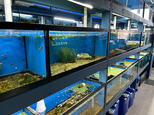 Pet Store «Aqua World Pet Super Center», reviews and photos, 8143 Ohio River Blvd, Pittsburgh, PA 15202, USA