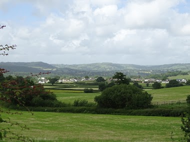 Coed Cadog