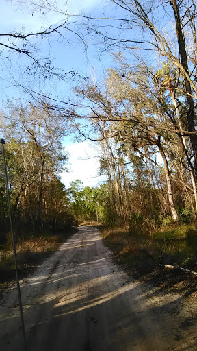 National Forest «Ocala National Forest», reviews and photos, 40929 FL-19, Umatilla, FL 32784, USA