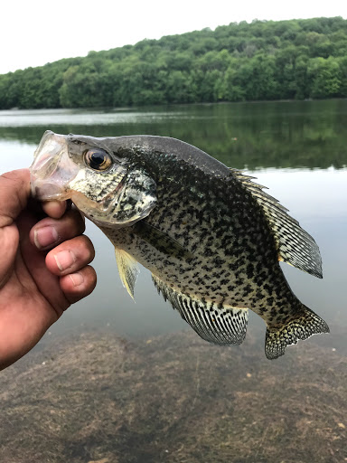 Park «Winding Hills Park», reviews and photos, 2 Old Rte 17K, Montgomery, NY 12549, USA