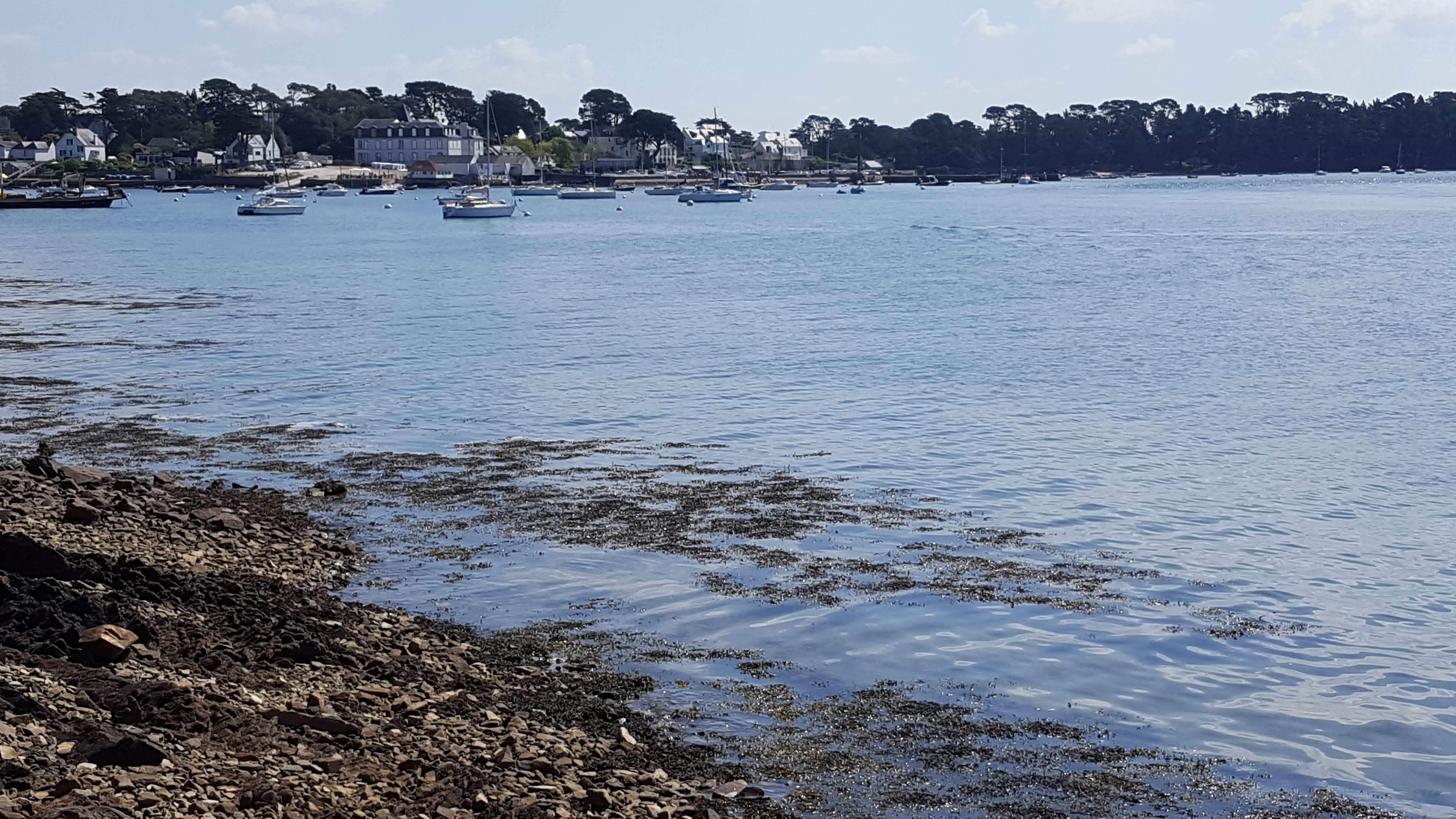 Photo n° 1 de l'avis de Corinne.e fait le 12/05/2019 à 18:51