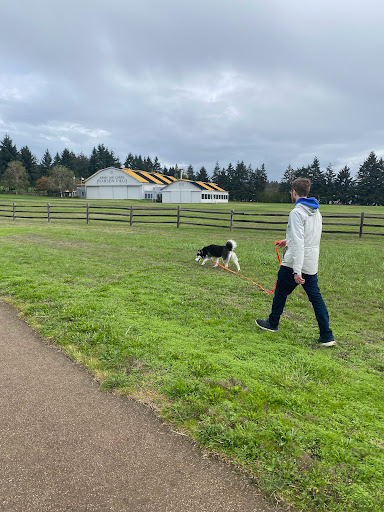 Museum «Pearson Air Museum», reviews and photos, 1115 E 5th St, Vancouver, WA 98661, USA