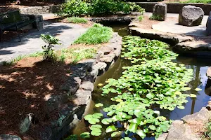 Lewis Vaughn Botanical Garden image