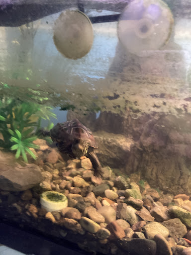 Pet Supply Store «Pet Station Jackson», reviews and photos, 1617 E Michigan Ave, Jackson, MI 49202, USA