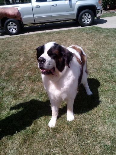 Park «Gaffke Park», reviews and photos, 28798 Grant St, St Clair Shores, MI 48081, USA