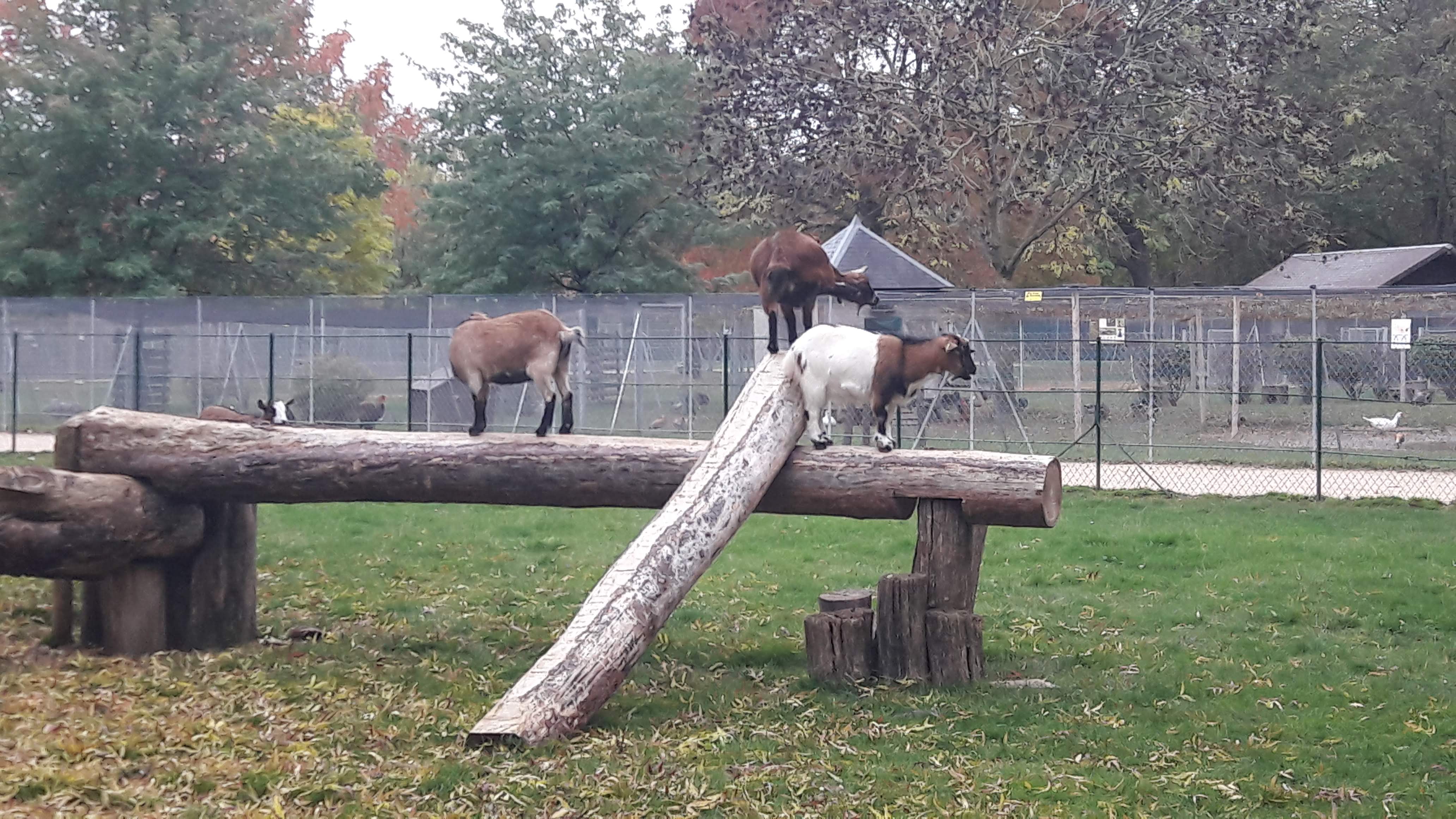 Photo n° 7 de l'avis de MISS.O fait le 06/11/2020 à 10:05