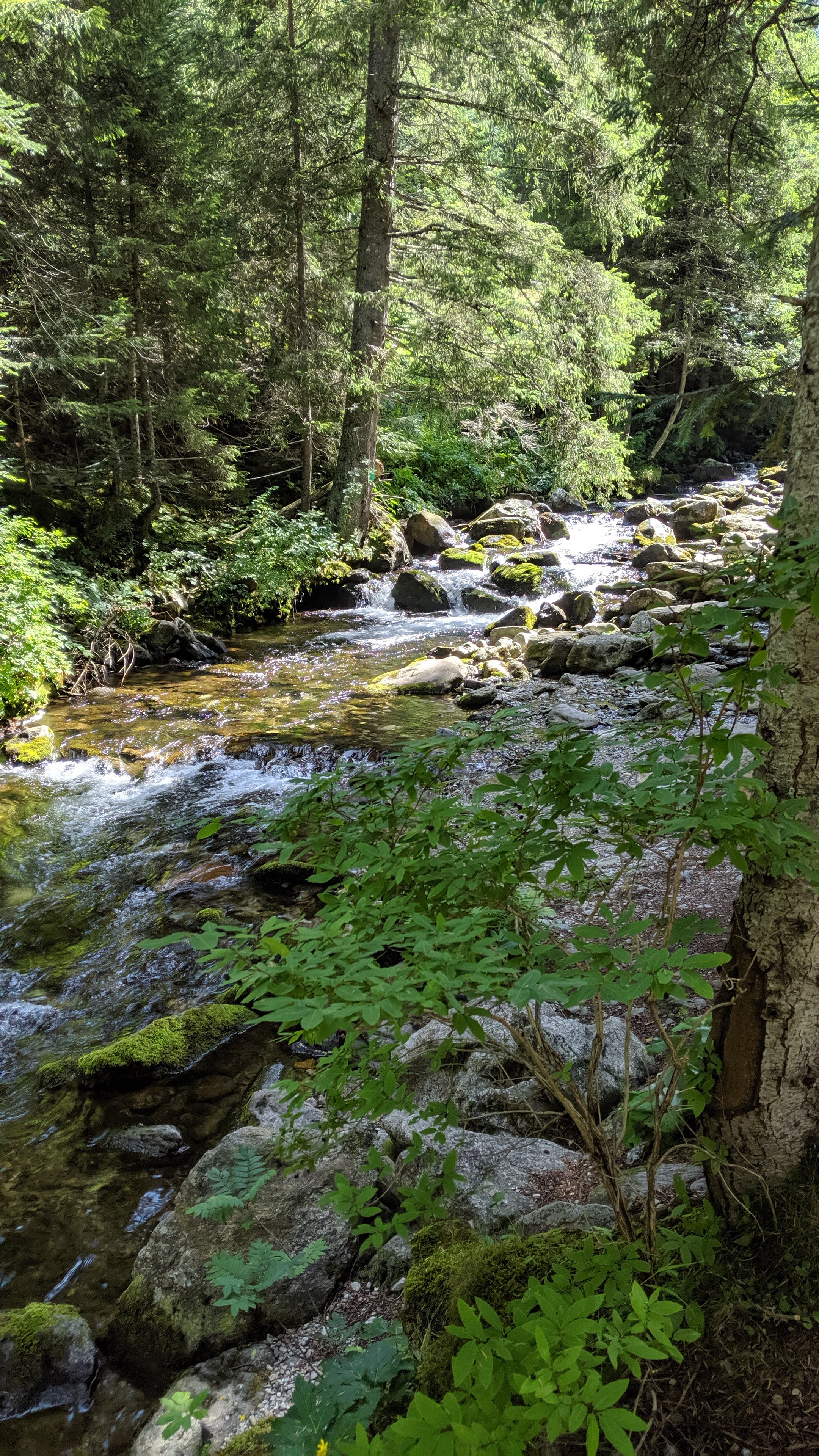 Photo n° 2 de l'avis de Pierre.H fait le 14/08/2019 à 15:13