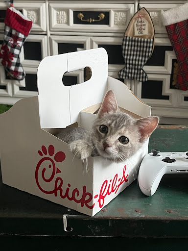 Fast Food Restaurant «Chick-fil-A», reviews and photos, 195 Northpark Dr, Kingwood, TX 77339, USA