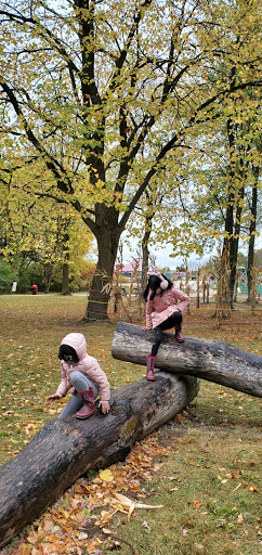 Farm «Abbey Farms», reviews and photos, 2855 Hart Rd, Aurora, IL 60502, USA