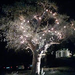 Photo n°3 de l'avis de CINZIA.A fait le 13/09/2018 à 06:05 sur le  Hotel Excelsior la Fonte à Portonovo