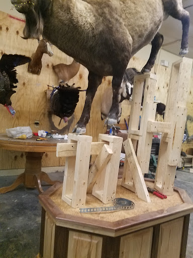 Taxidermist «HighPoint Taxidermy And Outfutters», reviews and photos, 14860 OH-13, Thornville, OH 43076, USA