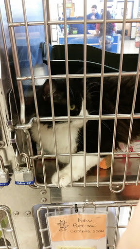 Pet Supply Store «PetSmart», reviews and photos, 1550 Butterfield Rd, Downers Grove, IL 60515, USA