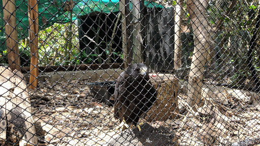 Refugio Animal de Costa Rica