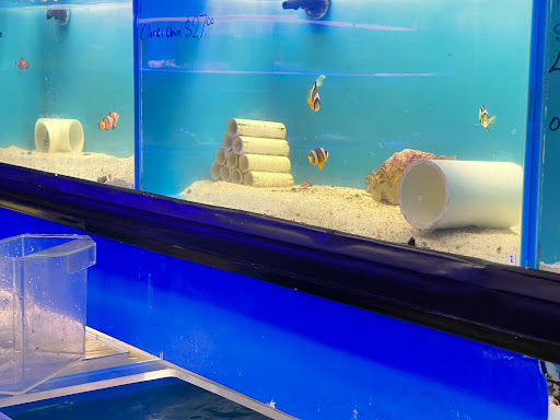 Pet Store «Corals and Fins», reviews and photos, 5011 W Hillsborough Ave, Tampa, FL 33634, USA