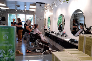 Salon Hazelton