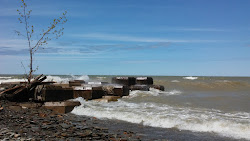 Walnut Creek Beach'in fotoğrafı - rahatlamayı sevenler arasında popüler bir yer