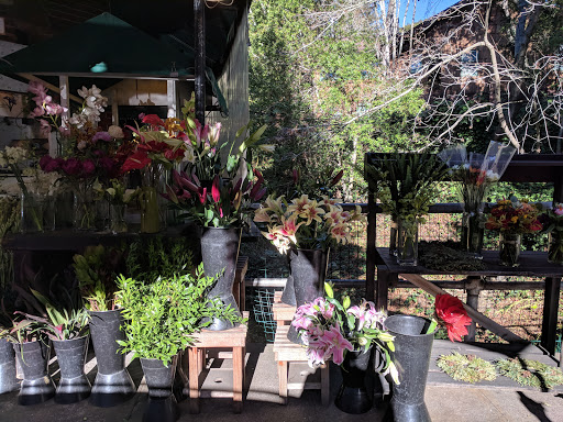 Grocery Store «Mill Valley Market», reviews and photos, 12 Corte Madera Ave, Mill Valley, CA 94941, USA