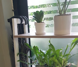 Warm Hostel Chiang Mai photo