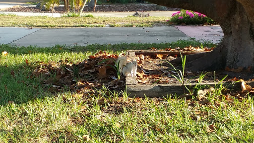  «ABC Fine Wine & Spirits», reviews and photos, 1239 S Washington Ave, Titusville, FL 32780, USA