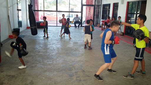 Gimnasio Coliseum Artes Marciales & Box