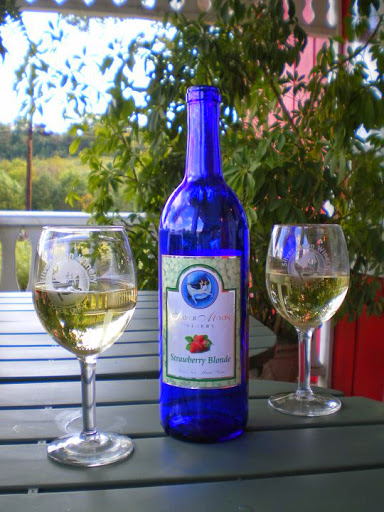 Winery «Silver Moon Winery», reviews and photos, 4915 Old Rte 39 NW, Dover, OH 44622, USA