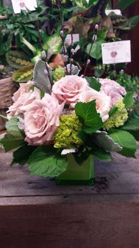 Florist «Chapel Hill Floral», reviews and photos, 453 Hammond St, Bangor, ME 04401, USA