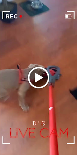 Park «Rapid Run Park», reviews and photos, 4450 Rapid Run Rd, Cincinnati, OH 45205, USA