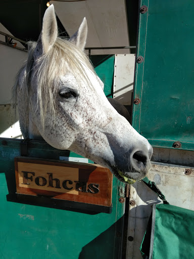 Event Venue «WestWorld of Scottsdale», reviews and photos, 16601 N Pima Rd, Scottsdale, AZ 85260, USA