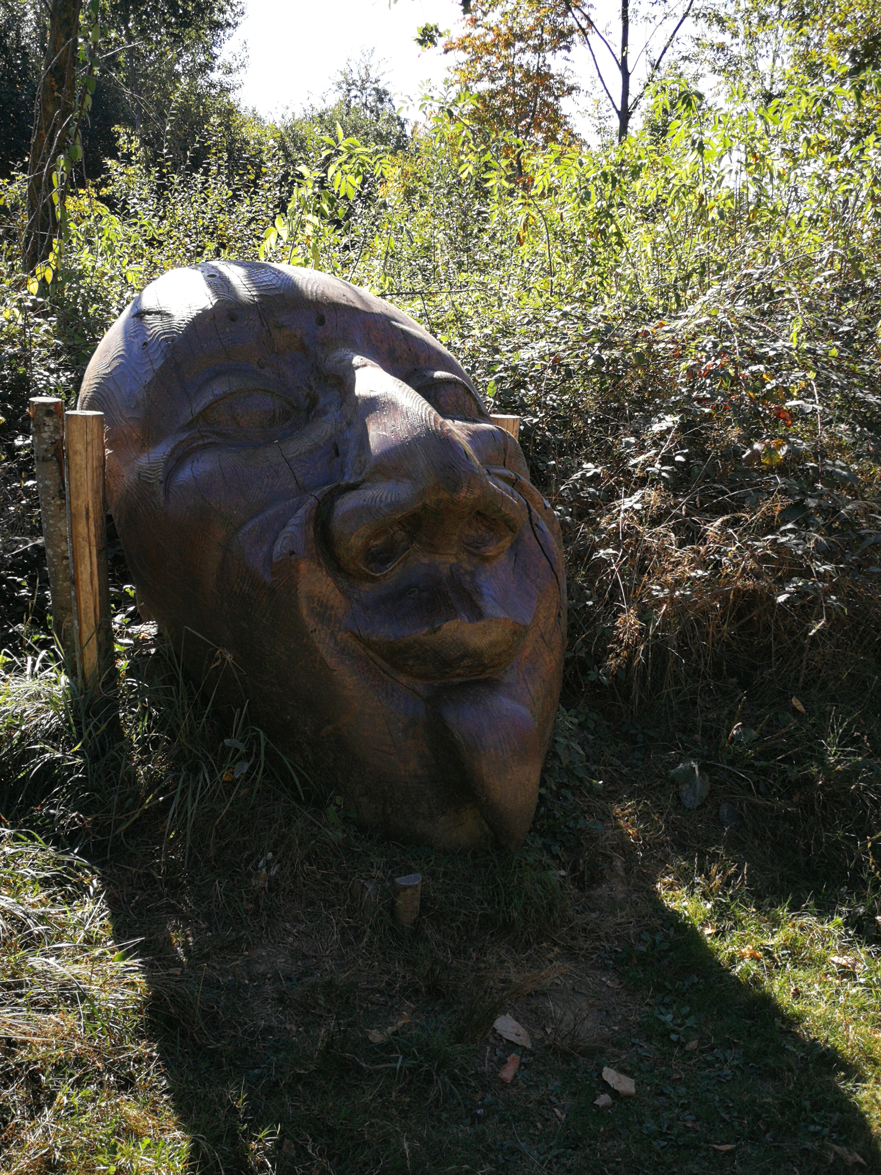 Photo n° 14 de l'avis de Maurice. fait le 05/10/2018 à 14:21