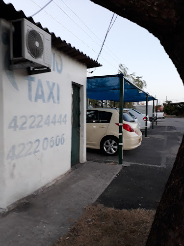 Taxi Camino De Los Gauchos