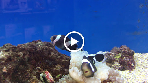 Pet Supply Store «Petco Animal Supplies», reviews and photos, 11331 W Broad St #151, Glen Allen, VA 23060, USA