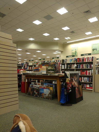 Book Store «Barnes & Noble», reviews and photos, 2751 Paper Mill Rd, Wyomissing, PA 19610, USA