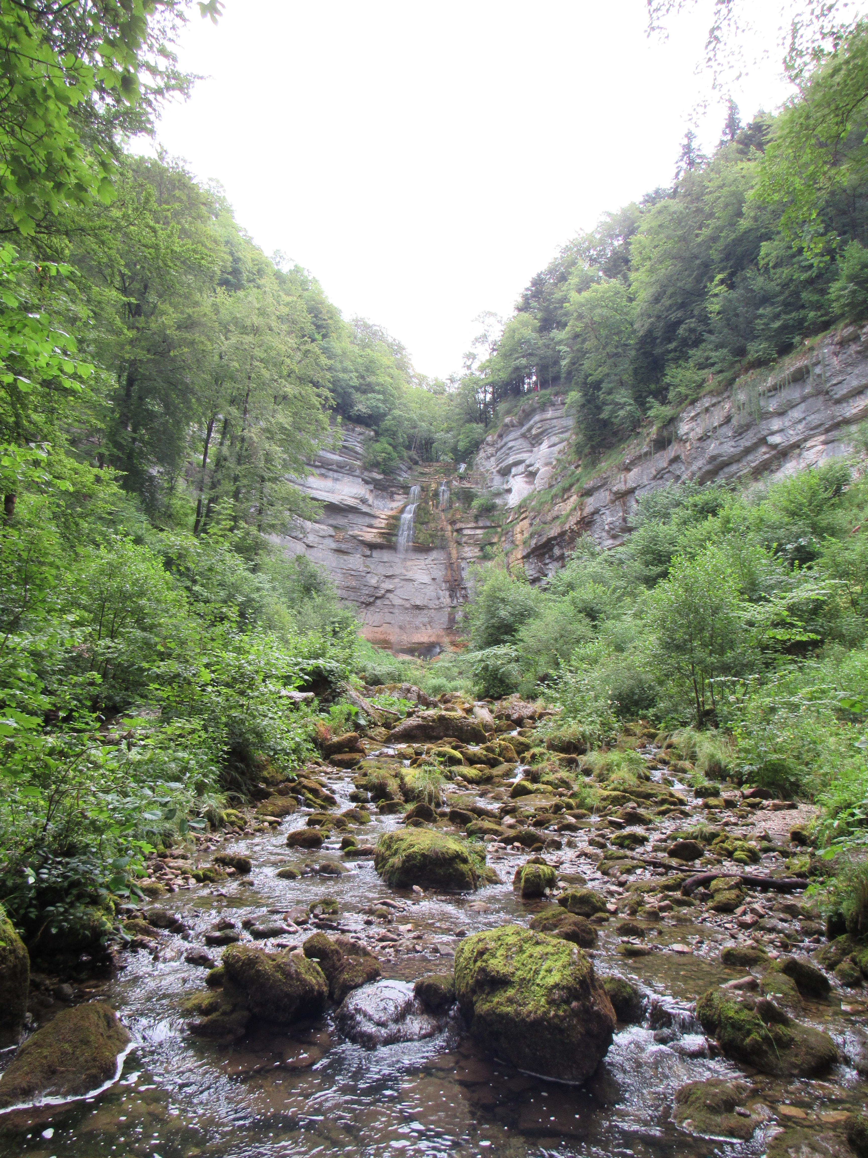 Photo n° 46 de l'avis de Thierry.i fait le 19/07/2020 à 21:54