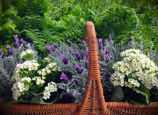 Florist «Flower Fashions by Haring», reviews and photos, 903 Hanshaw Rd #26, Ithaca, NY 14850, USA