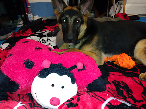 13252 Euclid St, Garden Grove, CA 92843, USA