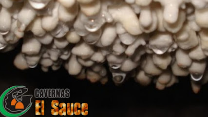 Cavernas El Sauce