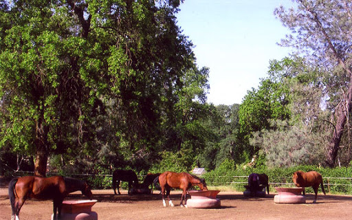 Lakeside Equestrian Center