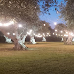 Photo n°12 de l'avis de Francesco.a fait le 18/08/2021 à 13:40 sur le  Casa Resta à Francavilla Fontana