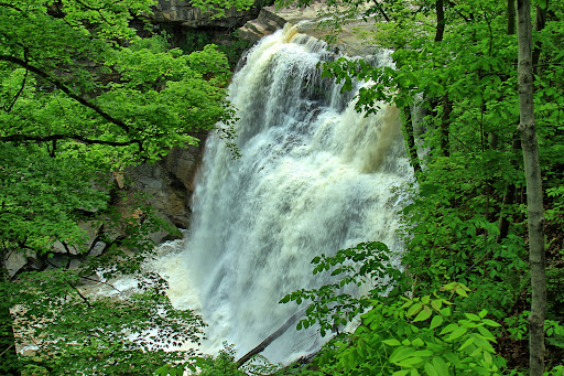 National Park «Cuyahoga Valley National Park», reviews and photos