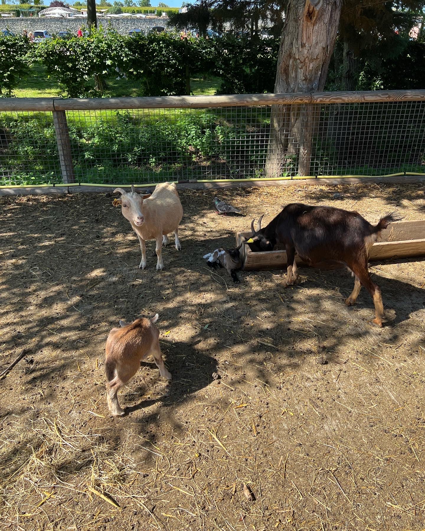 Photo n° 7 de l'avis de Sergey.� fait le 14/06/2022 à 18:21