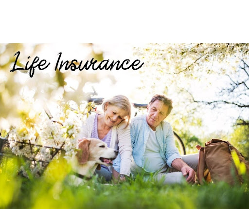 Insurance Agency «Markham Group, Inc.», reviews and photos