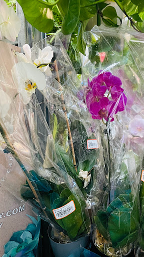 Home Improvement Store «The Home Depot», reviews and photos, 3051 E Main St, Mohegan Lake, NY 10547, USA