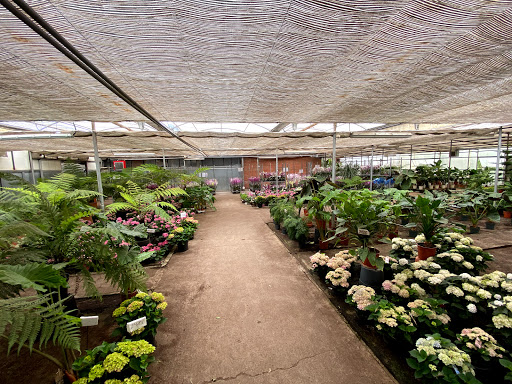 Florabella Horticulture S.L.