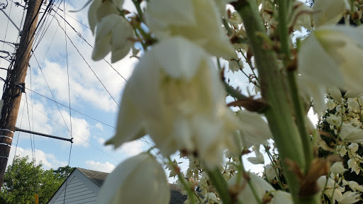 Park «Fort Reno Park», reviews and photos, Donaldson Pl NW, Washington, DC 20016, USA