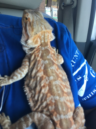 Pet Supply Store «Pet Supplies Plus», reviews and photos, 7570 Pearl Rd, Middleburg Heights, OH 44130, USA