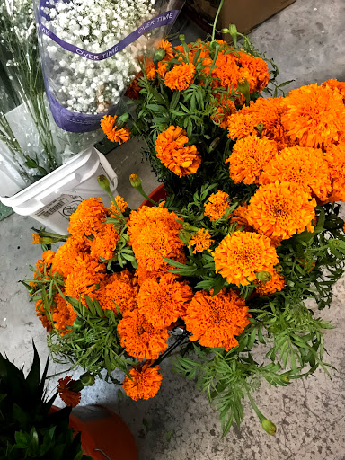 Florist «Floreria Alcatraz», reviews and photos, 159 Aldine Bender Rd #174, Houston, TX 77060, USA