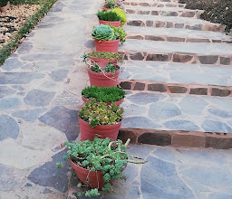 Campestre Don Rogelio photo