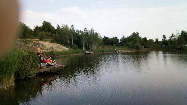 Opinii despre Bulo One Kft. în Városlőd - Autószerelő